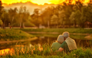 幸福的生活(幸福的生活像花儿一样是什么歌)